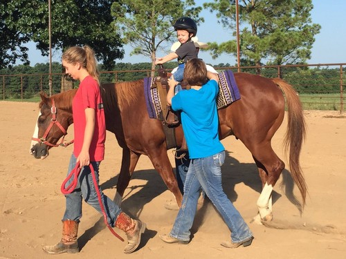 HIPPOTHERAPY