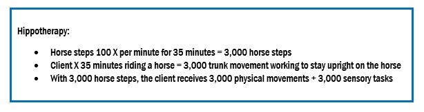 HIPPOTHERAPY CHART